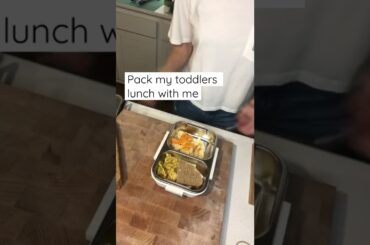 Healthy Toddler Lunch Ideas: sandwich, plantain chips, & fruit