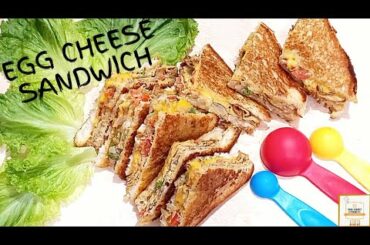 Egg Cheese Sandwich Recipe | Healthy Breakfast | Cheese Burst Sandwich | Egg Special Sandwich