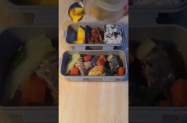 Adult Simple lunchbox ideas - fish bento box lunch