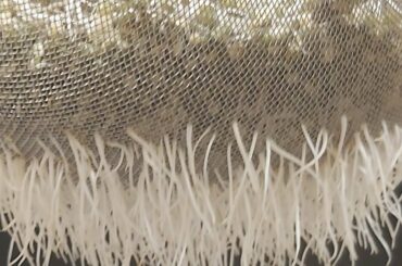 Sprout salad recipe | How to make moong bean salad recipe | #shorts #shortsvideo#shortsfeed#healthy