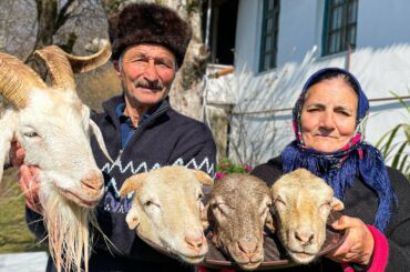 VERY TASTY AND HEALTHY GOAT SOUP! BEST RECIPE VILLAGE KHASH