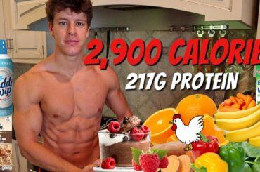 Full Day of Eating 2,900 Calories | HEALTHY High Protein Low Calorie Meals To Build Muscle