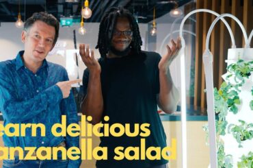 10 minute TowerGarden Panzanella salad recipe