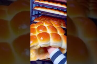 Soft Yummy Breads - Do you want to taste it? #bread #breadrecipe #breadrecipes