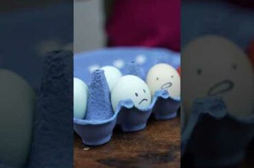 Special Sentient Sandwich