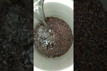 Karuppu Kavuni Rice|Kavuni Arisi|Evening Snacks Recipe|Healthy snacks #shorts #snacks #kavuniarisi