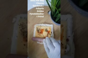 How to make the Best Hot Dog Sandwich| #shorts #youtubeshort #viral #shortvideo