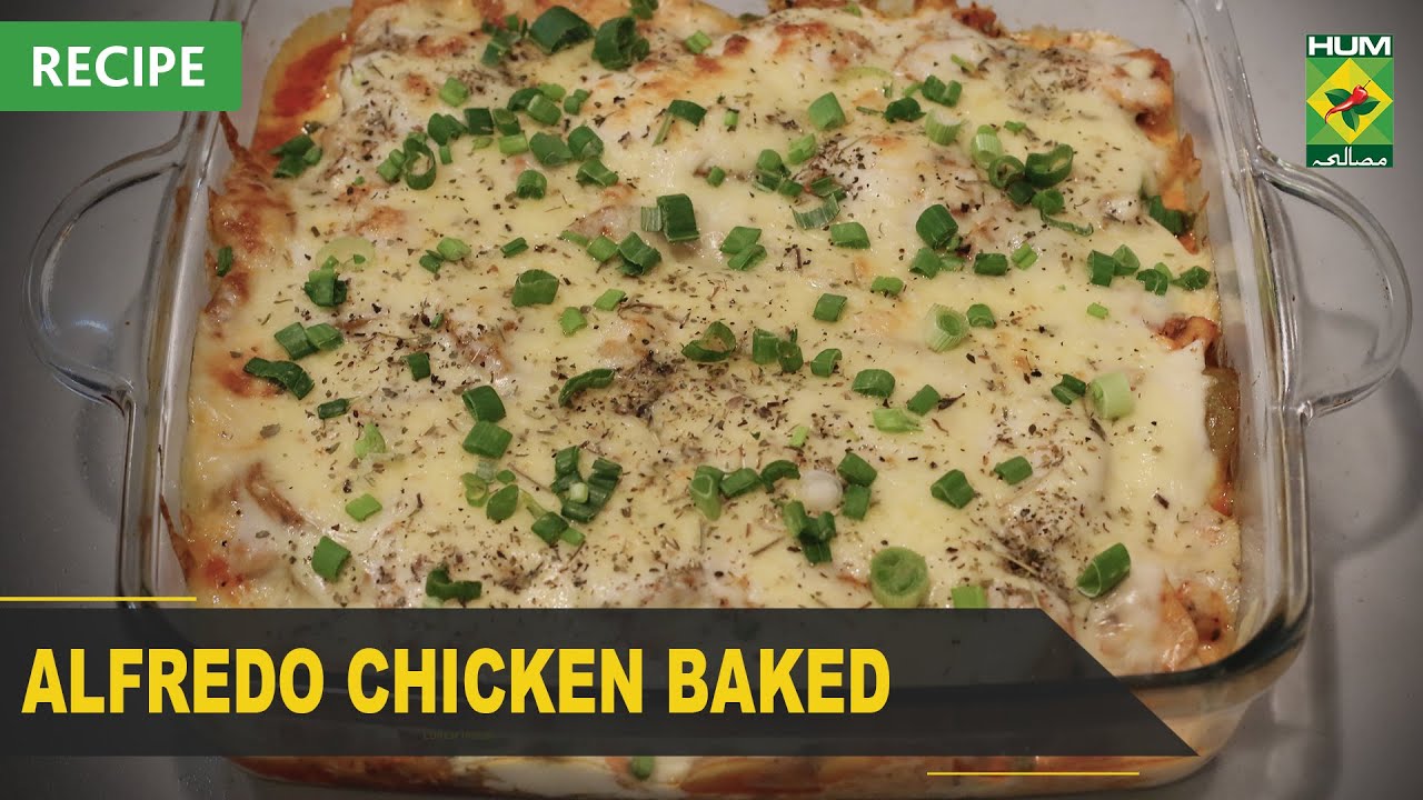 Alfredo Chicken Baked Recipe | Quick & Healthy Recipes | Masala TV Alfredo Chicken Baked Recipe | Quick & Healthy Recipes | Masala TV