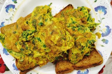 Very healthy Bread Omlet Reciepe/ alsi ke Baji ka Bread Omlet/ Very Dilicious Recipe