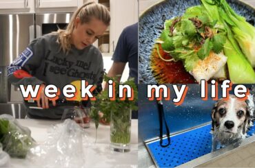 WEEK IN MY LIFE | FEELING OVERWHELMED | HEALTHY DINNER RECIPE & COOK WITH US