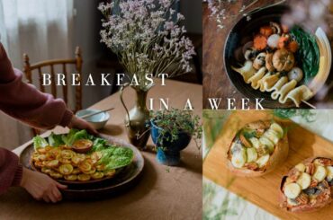 #66 | 7 Healthy & Easy Breakfast Recipes for the Entire Week