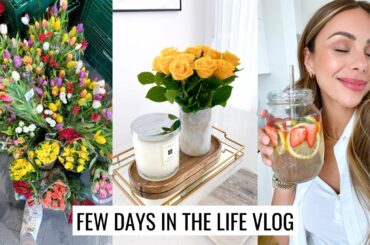 VLOG | Spring Reset, Pregnancy Update & Healthy Dinner Recipe | Annie Jaffrey