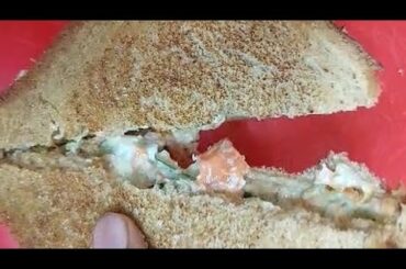 Veg Garlic Mayonnaise Healthy Sandwich | Care n share