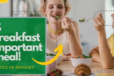 Is Breakfast important meal? Breakfast for weight loss.(Healthy breakfast recipes)
