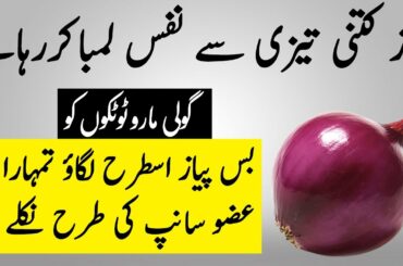 10 Health Benefits Of Onion Breakfast Recipe for Weight loss, Skin & Hair