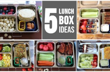 5 Lunch Box Ideas | Healthy Kids Lunch Box Recipes | Kids Lunch Box Ideas