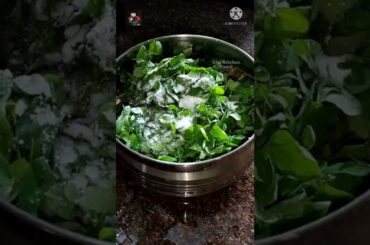 Healthy Morning Breakfast Recipe For Weightloss #drumstickleavesadaidosai#shorts #sapkitchentamil