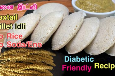 Thinai idli recipe / Foxtail Millet Idli recipe in Tamil/ Millet Idli/Dosa-Healthy Millet Breakfast