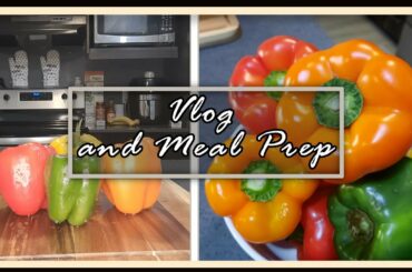MINI VLOG AND Stuffed Pepper Recipe  | Healthy Comfort Food