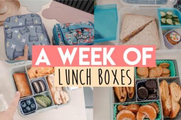 A WEEK OF LUNCH BOXES || SCHOOL LUNCH IDEAS || HEALTHY LUNCH BOX IDEAS