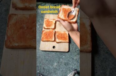 healthy omlet bread sandwich