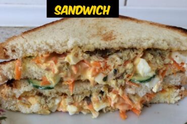 How To Make A Healthy Sandwich Bread At Home | Sandwich Recipe