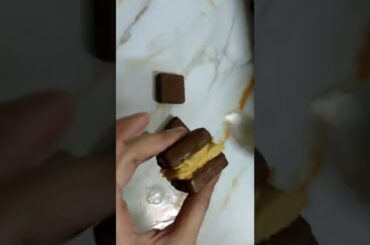 Chocolate Sandwich | Trying Viral Sandwich | Icecream Sandwich | 1 min kids party snacks