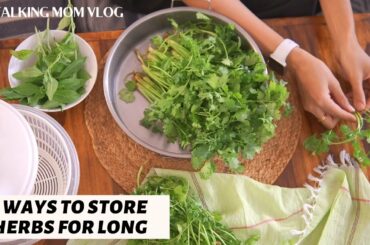 9 DIFFERENT WAYS TO STORE HERBS | Healthy Herbs Recipes |How to Store Coriander, Mint, Curry & Basil