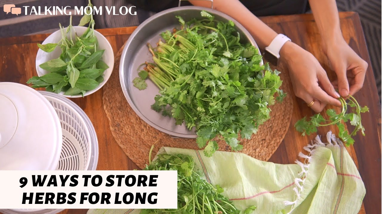 9 DIFFERENT WAYS TO STORE HERBS | Healthy Herbs Recipes |How to Store Coriander, Mint, Curry & Basil 9 DIFFERENT WAYS TO STORE HERBS | Healthy Herbs Recipes |How to Store Coriander, Mint, Curry & Basil