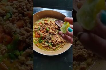 Healthy & Cheesy -  Chicken Keema Sandwich (Laalach Na dila de to kehna)