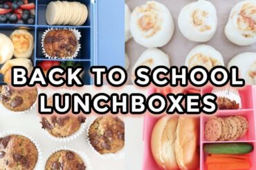Quick and Easy Back to School Lunch Ideas | Freezer friendly healthy kids lunch box recipes