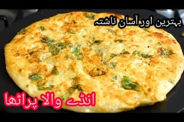 Anda Paratha Recipe|Egg Paratha Recipe|Egg Paratha Roll Recipe|Healthy Breakfast Recipe|