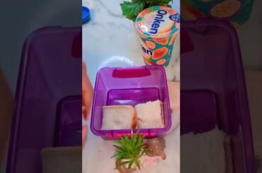 healthy lunch box with free copyright music