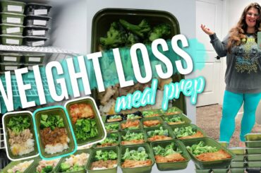 Weekly Weight Loss Meal Prep  |  3 High Protein Recipes from the Protein Chef | Meal prep with me
