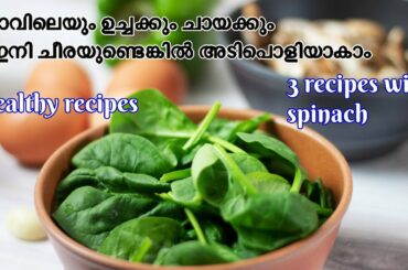 variety spinach recipes malayalam | spinach omlette | spinach dal | spinach snack | EP - 258