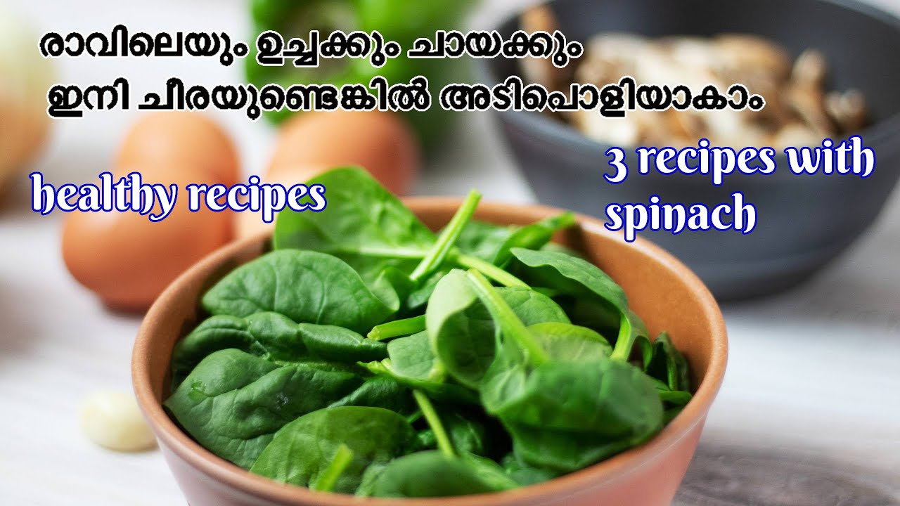 variety spinach recipes malayalam | spinach omlette | spinach dal | spinach snack | EP – 258 variety spinach recipes malayalam | spinach omlette | spinach dal | spinach snack | EP - 258