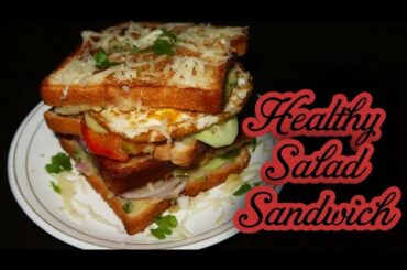 Healthy Salad Sandwich Recipe || How to make tasty Cheese Sandwich Recipe