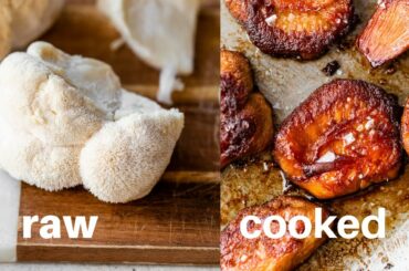 LION'S MANE MUSHROOM 101 | health benefits + recipe