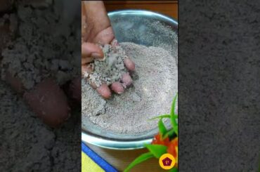 deconstructed puttu | Kerala puttu | Healthy breakfast recipe | Easy recipes #Shorts