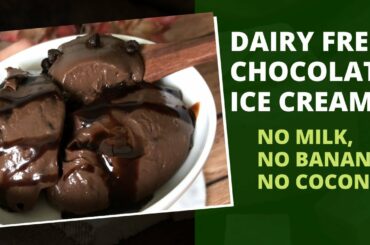 Healthy Homemade Vegan/Dairy Free Ice Cream Recipe | No Milk | No Banana | No Coconut | Easy to Make