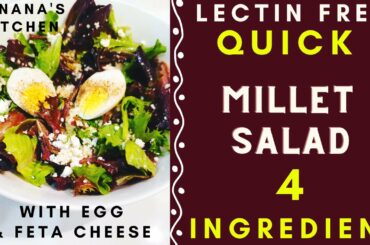 Delicious Easy Salad Recipe Millet Salad 4 Ingredient (Lectin Free Recipes 2022) QUICK LUNCH IDEA