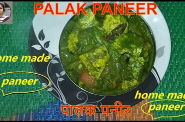 Healthy and tasty palak paneer, /home made paneer, easy and quick recipe