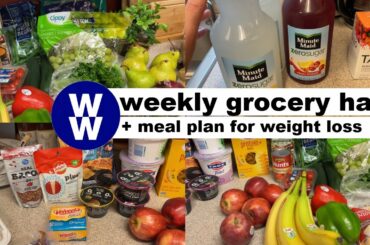 Small Grocery Haul + Meal Plan for Weight Loss | Weight Watchers | Journey to Healthy