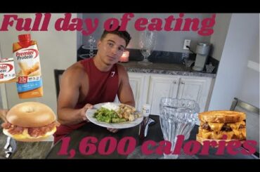 Full day of eating to get shredded | Extra Low calorie high protein meals | How to track macros