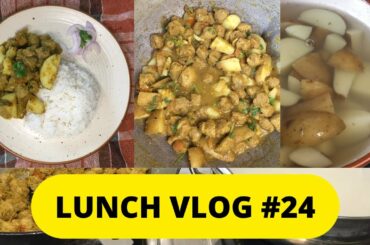 Daily Vlog Video Diary #24 || EASY And QUICK Healthy Lunch Recipes ||Mr And Mrs Lenka
