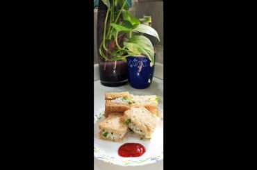 Paneer sandwich recipes/ veg sandwich recipe indian/#shorts