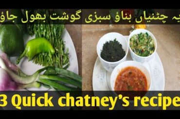 3 Quick chatney recipes || instent chatney recipes in Urdu Hindi || chatney  by decent cooking vlogs