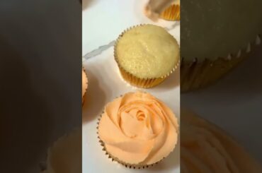 Dishes For A Variety Of Diets #154