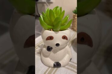 Healthy Fruit Chaat Recipe / Quick Healthy Snacks #Shorts