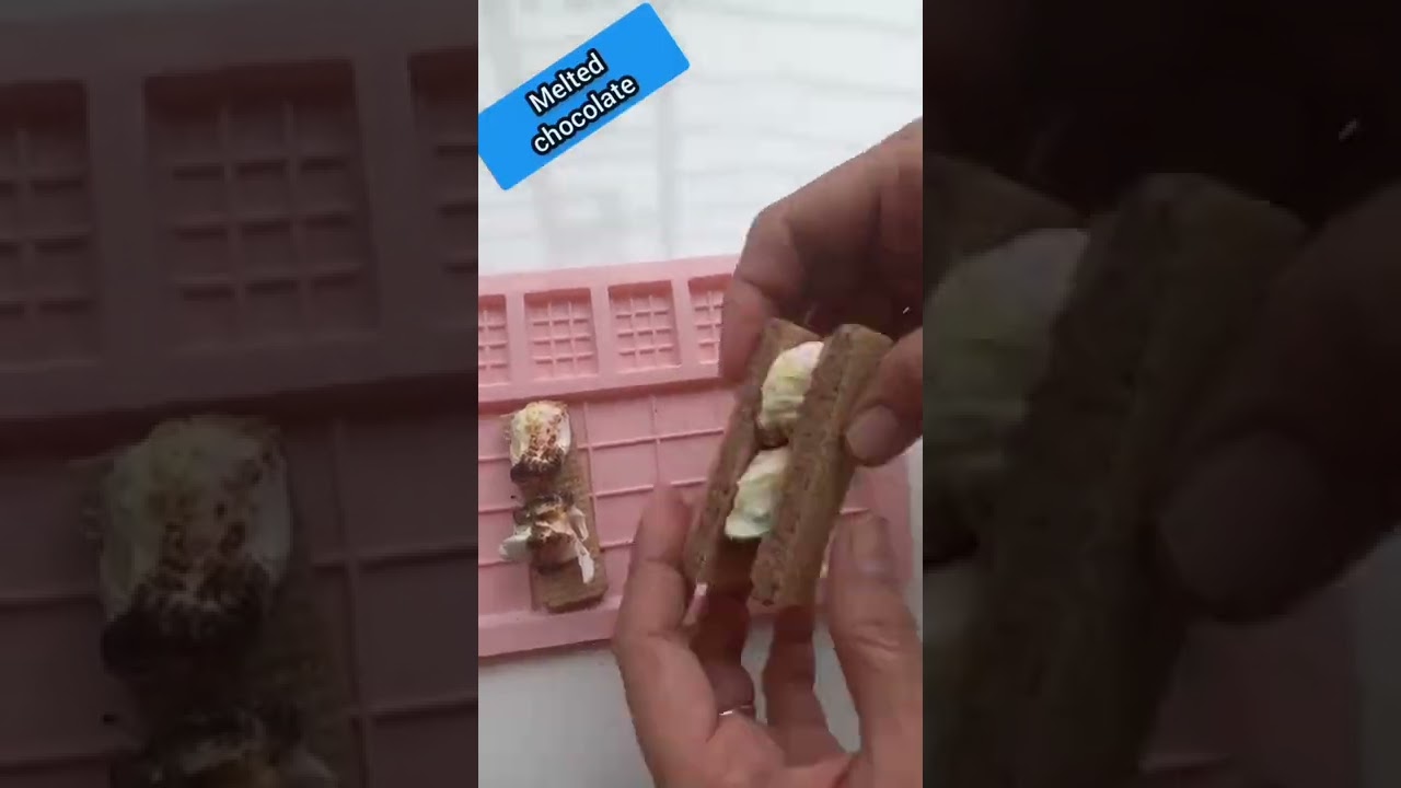 marshmallow biscuit chocolate #chocolate #treatsforyou #shorts #ashortaday marshmallow biscuit chocolate #chocolate #treatsforyou #shorts #ashortaday